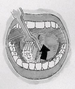 spazzolata della faccia verso la lingua dei denti